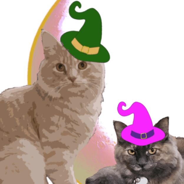 Ol' Cat Crone Broomshop